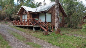 Cabañas Raices del Puma